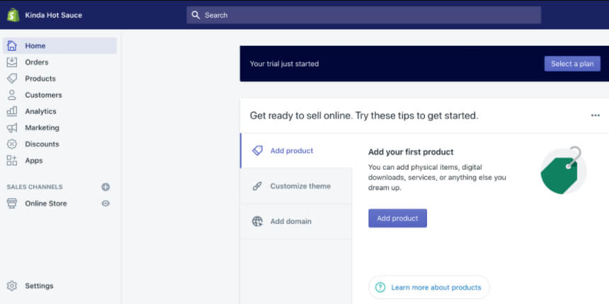 Build a dropshipping store shopify dropshipping
