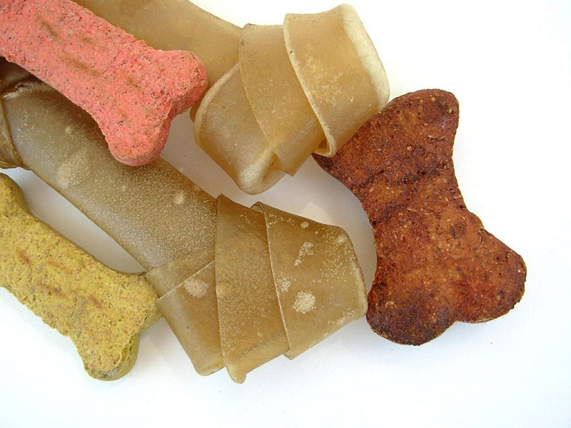 Pet Supplies most profitable dropshipping niches