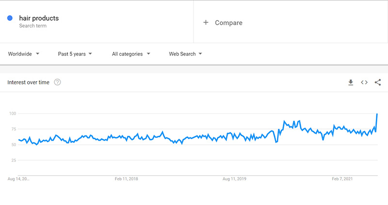 google trends dropship hair products