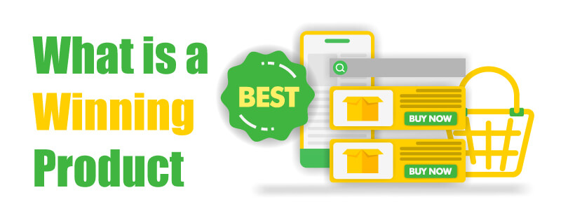 what is a winning product winning products