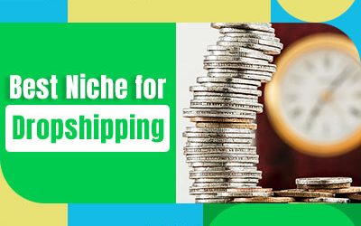 How to Find the Best Dropshipping Niche for eCommerce?