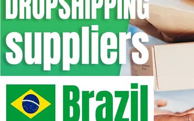 7 Grandes Fornecedores de Dropshipping Brasil